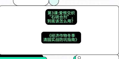 第3节：【核武药剂】爱恨交织的&ldquo;石硫合剂&rdquo;，到底该怎么用？，课程：《经济作物冬季清园&middot;实战防坑指南》#识农AI