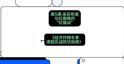 第5节：【柑橘清园】采后恢复与红蜘蛛的&ldquo;拉锯战&rdquo;，课程：《经济作物冬季清园&middot;实战防坑指南》#识农AI