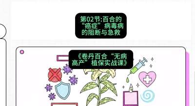 第02节：百合的&ldquo;癌症&rdquo;&mdash;&mdash;病毒病的阻断与急救，课程：《卷丹百合&ldquo;无病高产&rdquo;植保实战课》#识农AI