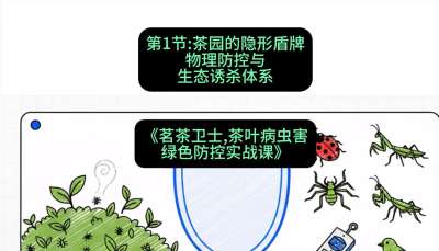 第01节：茶园的&ldquo;隐形盾牌&rdquo;&mdash;&mdash;物理防控与生态诱杀体系，课程：《茗茶卫士&mdash;&mdash;茶叶病虫害绿色防控实战课》#识农AI