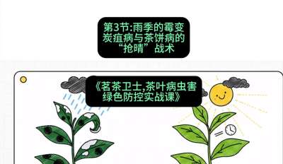 第03节：雨季的霉变&mdash;&mdash;炭疽病与茶饼病的&ldquo;抢晴&rdquo;战术，课程：《茗茶卫士&mdash;&mdash;茶叶病虫害绿色防控实战课》#识农AI