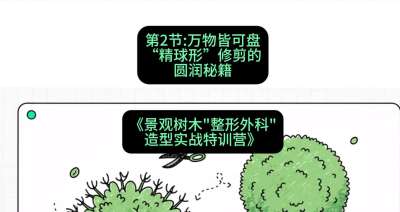 第02节：万物皆可盘&mdash;&mdash;&ldquo;精球形&rdquo;修剪的圆润秘籍，课程：《景观树木&ldquo;整形外科&rdquo;造型实战特训营》#识农AI