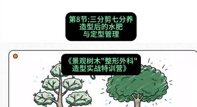第08节：三分剪七分养&mdash;&mdash;造型后的水肥与定型管理，课程：《景观树木&ldquo;整形外科&rdquo;造型实战特训营》#识农AI