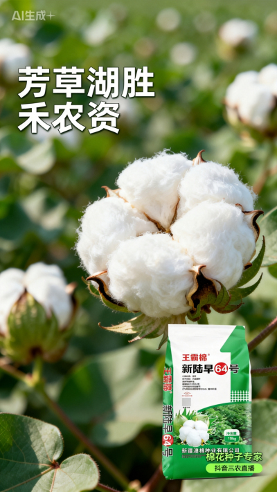 新疆棉花澳棉种业王霸棉，还有其它都好