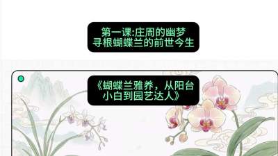 第一节：庄周的幽梦：寻根蝴蝶兰的前世今生，课程：《蝴蝶兰雅养六讲：从阳台小白到园艺达人》#识农AI