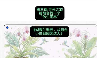 第三节：寻光之旅：给阳台找一个&ldquo;仿生雨林&rdquo;，课程：《蝴蝶兰雅养六讲：从阳台小白到园艺达人》#识农AI
