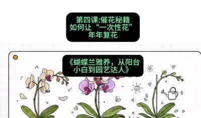 第四节：催花秘籍：如何让&ldquo;一次性花&rdquo;年年复花，课程：《蝴蝶兰雅养六讲：从阳台小白到园艺达人》#识农AI