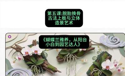 第五节：脱胎换骨：古法上板与立体造景艺术，课程：《蝴蝶兰雅养六讲：从阳台小白到园艺达人》#识农AI