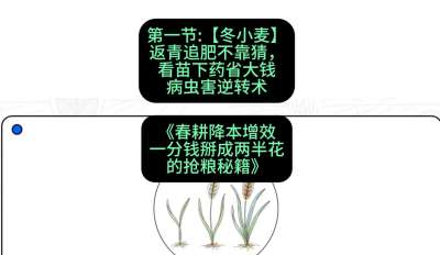 第一节：【冬小麦】返青追肥不靠猜，看苗下药省大钱