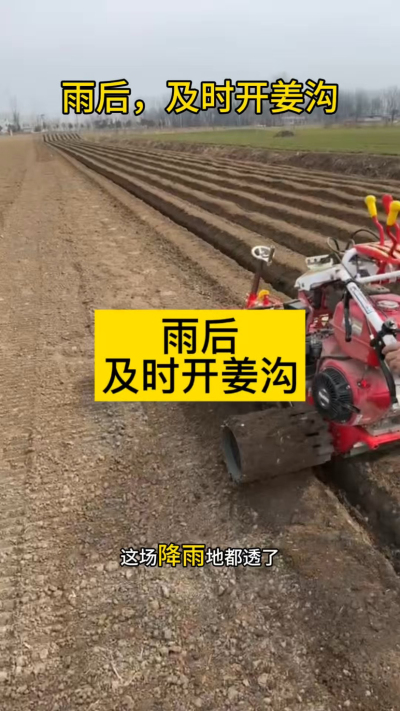 雨后，及时开姜沟！