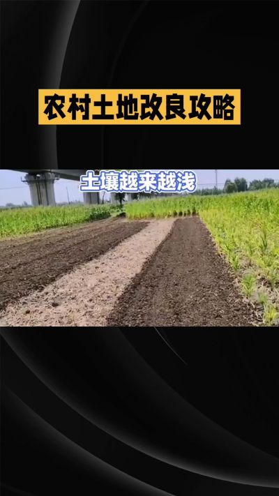 1. 先搞懂：你到底要改良哪块地、种什么
 
- 土土土在哪里？
就是你自家农田、菜地、果园，哪块地想种庄稼，就测哪块地的土。
​
- 有水没有水？
有水能浇：改良更省事，施肥、调酸碱都好操作。
没水