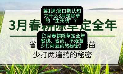 第1节：窗口期认知，为什么3月是除草的&ldquo;生死线&rdquo;？，课程：《3月春耕除草定全年：省钱、省药、不烧苗、少打两遍药的秘密》